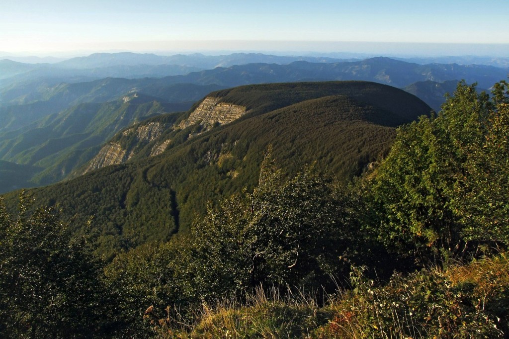 Parco Nazionale delle Foreste Casentinesi, Monte Falterona, Campigna (AR) giornata di