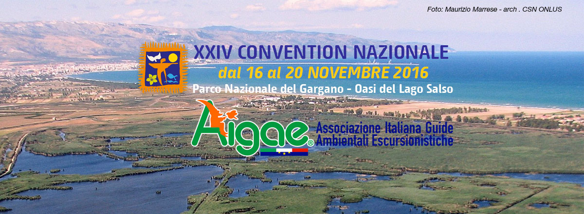 bannerone-evento-gargano-x-fb