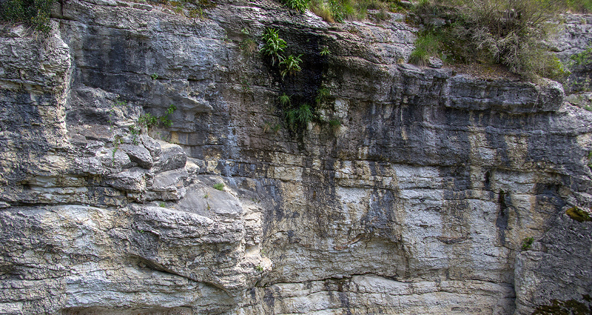 substrati rocciosi