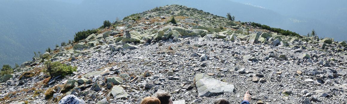 orientarsi con la cartina