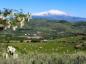 vulcano da lontano