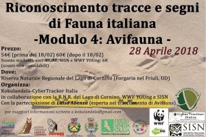 Corso riconoscimento tracce avifauna cyber tracker