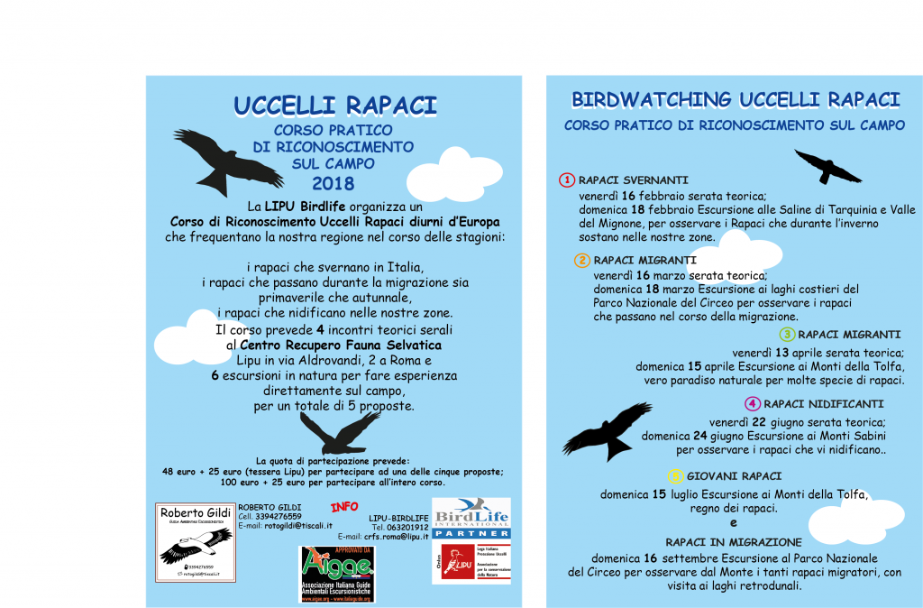 birdwatchin rapaci