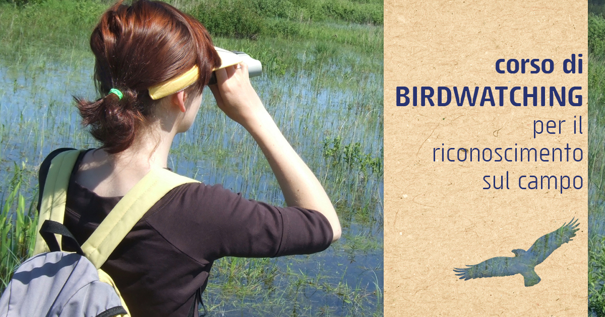 riconoscimento avifauna