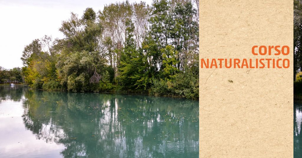 ambienti acquatici, fiumi, parco naturale