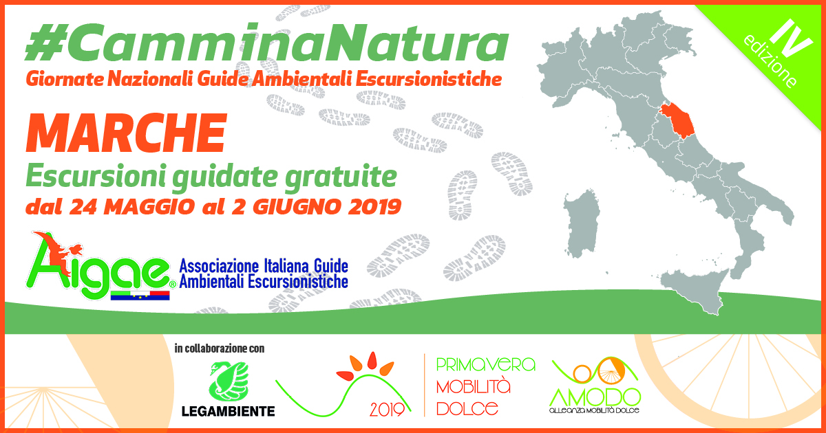 MARCHE CAMMINANATURA2019