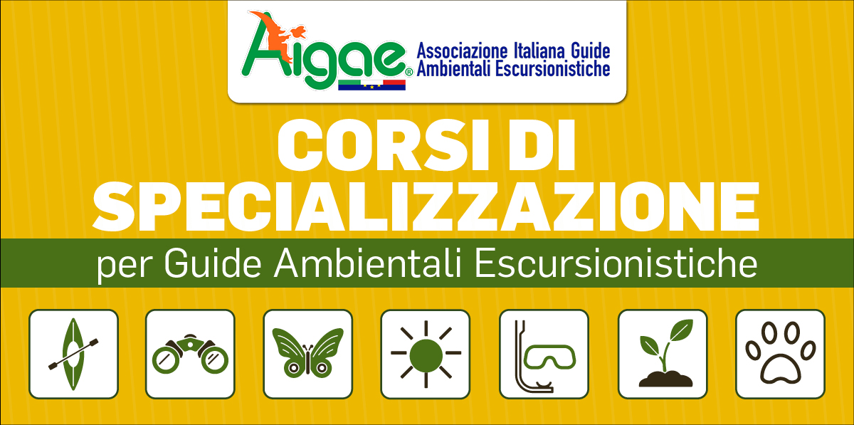 Corsi di Specializzazione - AIGAE